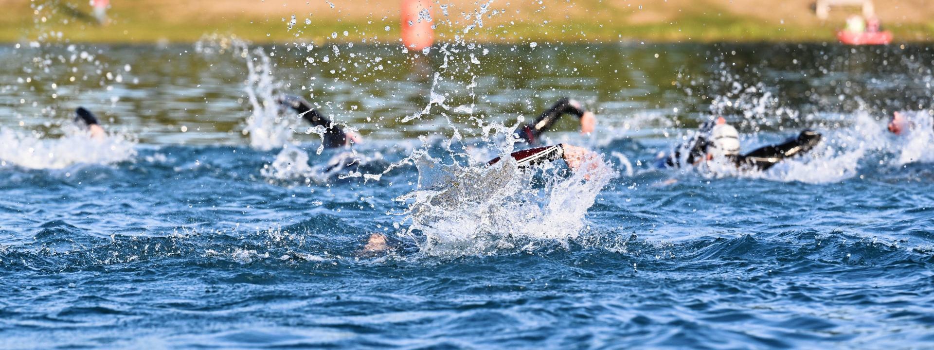 Schwimmende Triathleten