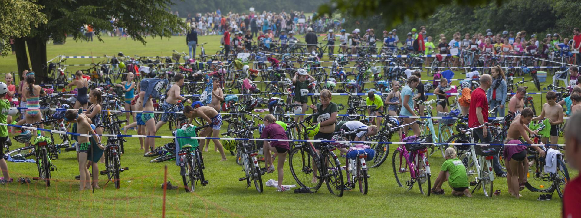 Leichte Vogelperspektive auf die Wechselzone