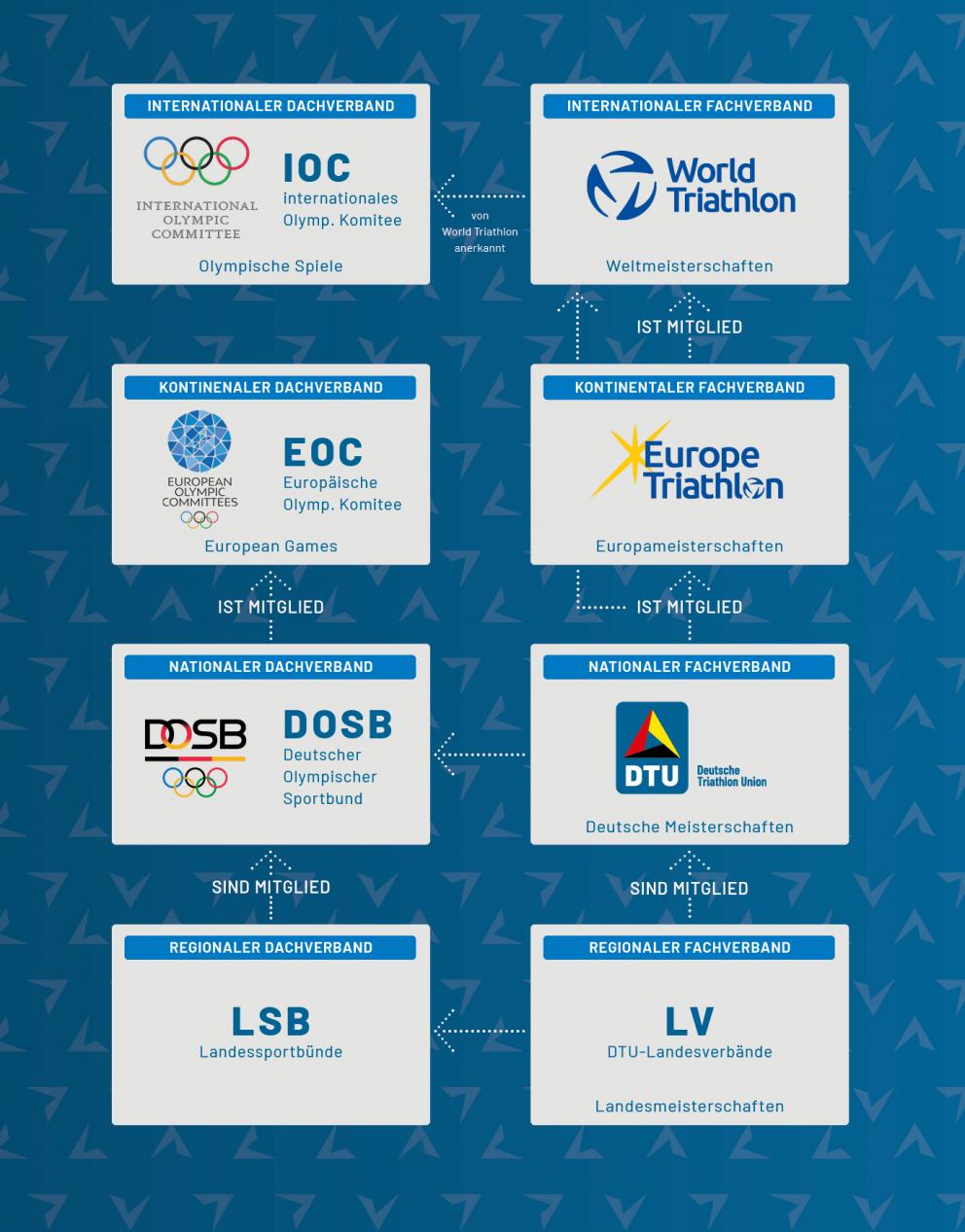 Infografik über Beziehung zwischen einzelnen Sportverbänden