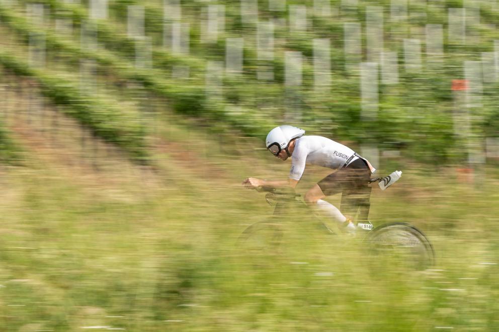 Radfahrer auf einem Zeitfahrrad zwischen den Weinbergen Heilbronns