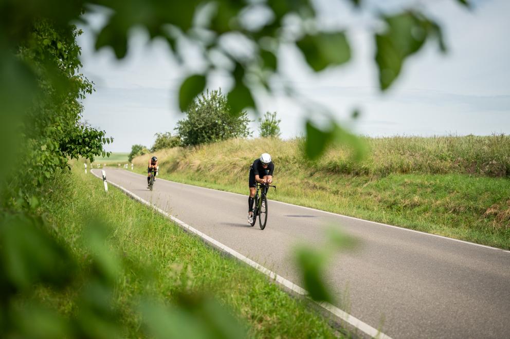 Radfahrer auf einer Straße mit Wiesen und Bäumen