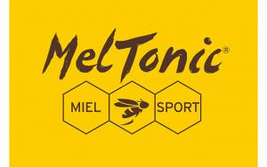 Logo Meltonic