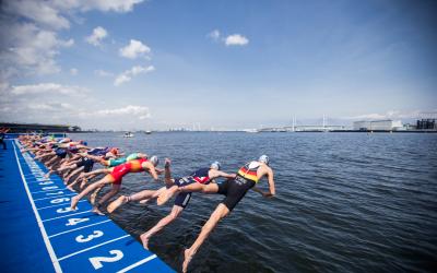 Schwimmer springen ins Wasser