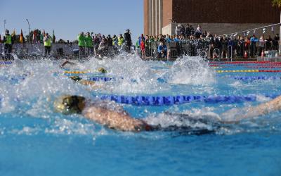 Junge beim Schwimmen im Freibad